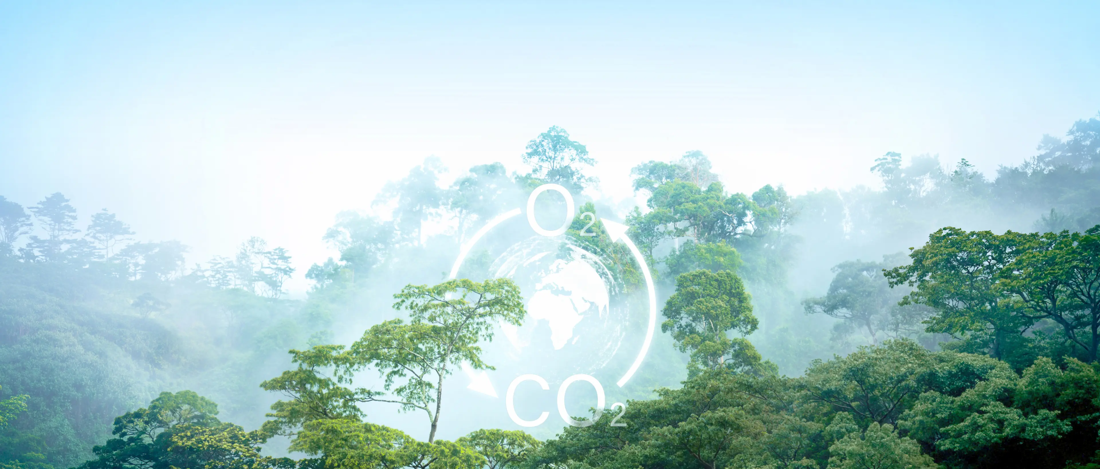 Carbon Reduction Support