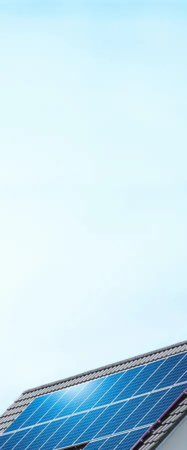 voltoraxcom.com voltoraxcom.com